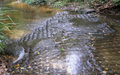 Lingas at Kulen Mountain - Siemreap