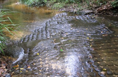 Lingas at Kulen Mountain - Siemreap