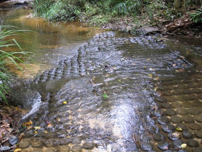 Lingas at Kulen Mountain - Siemreap