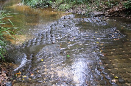 Lingas at Kulen Mountain - Siemreap