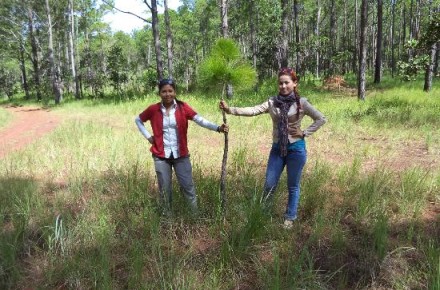 kirirom national park trekking tour