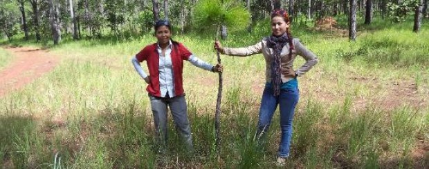 kirirom national park trekking tour