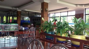 Mondulkiri Hotel8